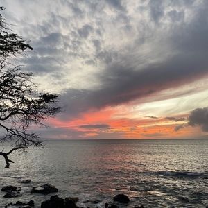 Meet your Posher, Abbey